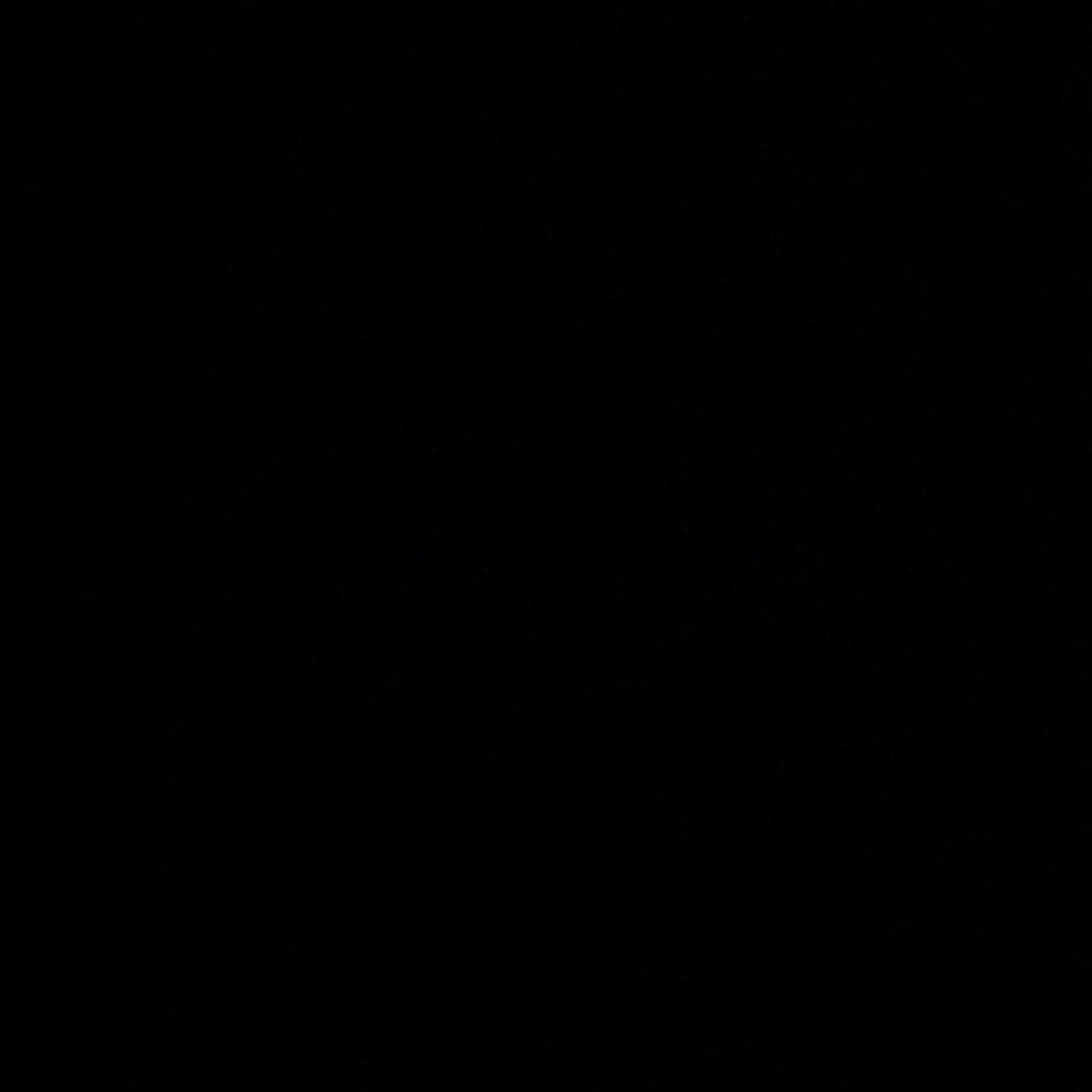 Meet your Posher, Riley